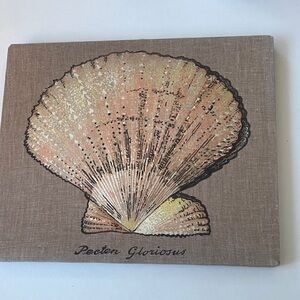 Seashell Canvas Art